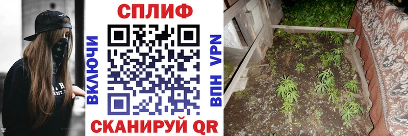 наркошоп  Кораблино  блэк спрут ССЫЛКА  Каннабис OG Kush 